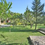 Ferienhaus Mallorca MA8385 Garten mit Büschen und Bäumen