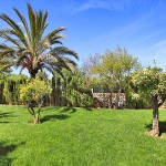 Finca Mallorca MA6652 Garten mit Bäumen und Büschen