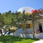 Ferienhaus Cala d'Or MA5655 Garten mit Bouganvilea