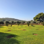 Ferienhaus Mallorca 5649 - großer Garten mit Rasen