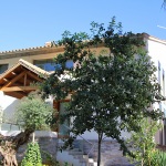 Villa Mallorca MA6321 Haus von vorne