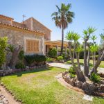 Ferienhaus Mallorca MA4149 Garten mit Palmen