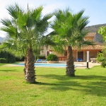 Ferienhaus Mallorca MA3722 - Garten