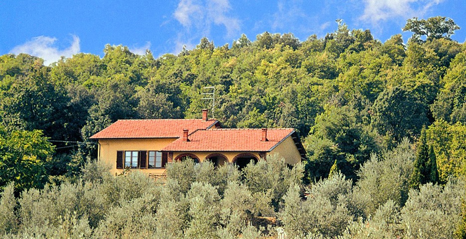 Toskana Ferienhaus mit Pool TOH421 - Haus mit Umgebung