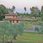 Ferienhaus Toskana TOH429 Olivenbäume im Garten