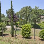 Ferienhaus Toskana TOH630 Garten mit Büschen und Zypressen