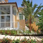 Ferienhaus Mallorca MA4340 mit Palme im Garten